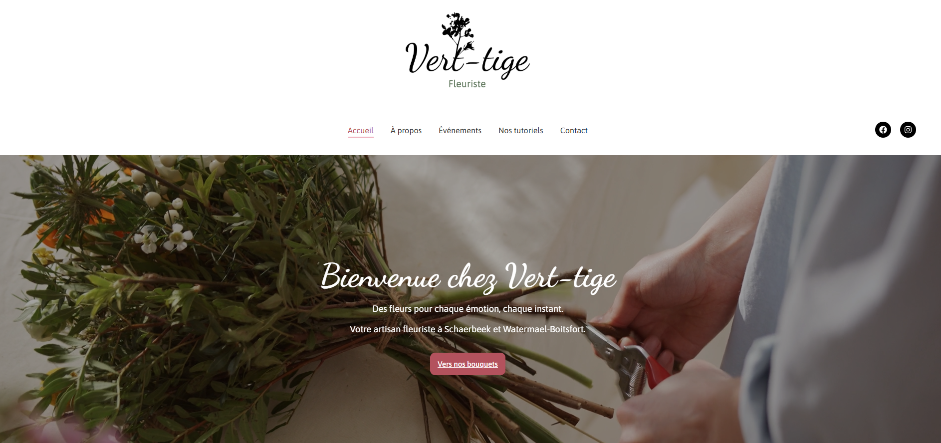 Page d’accueil du site Verttige en version bureau