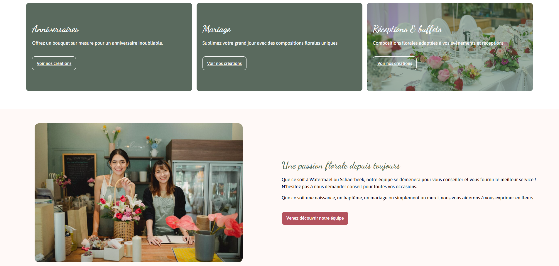 Section de la page d’accueil du site Verttige