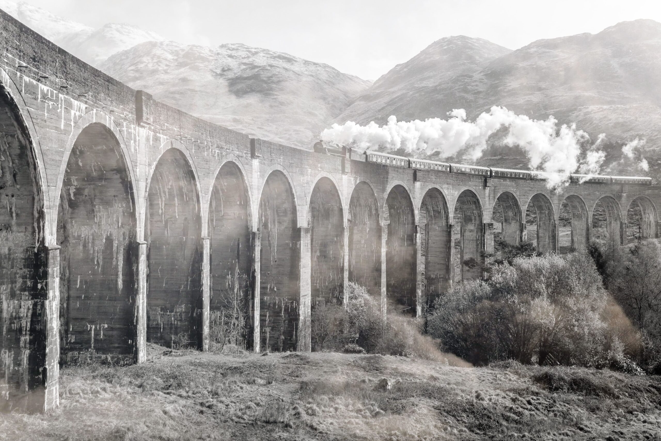 Train à vapeur sur un viaduc, version noir et blanc