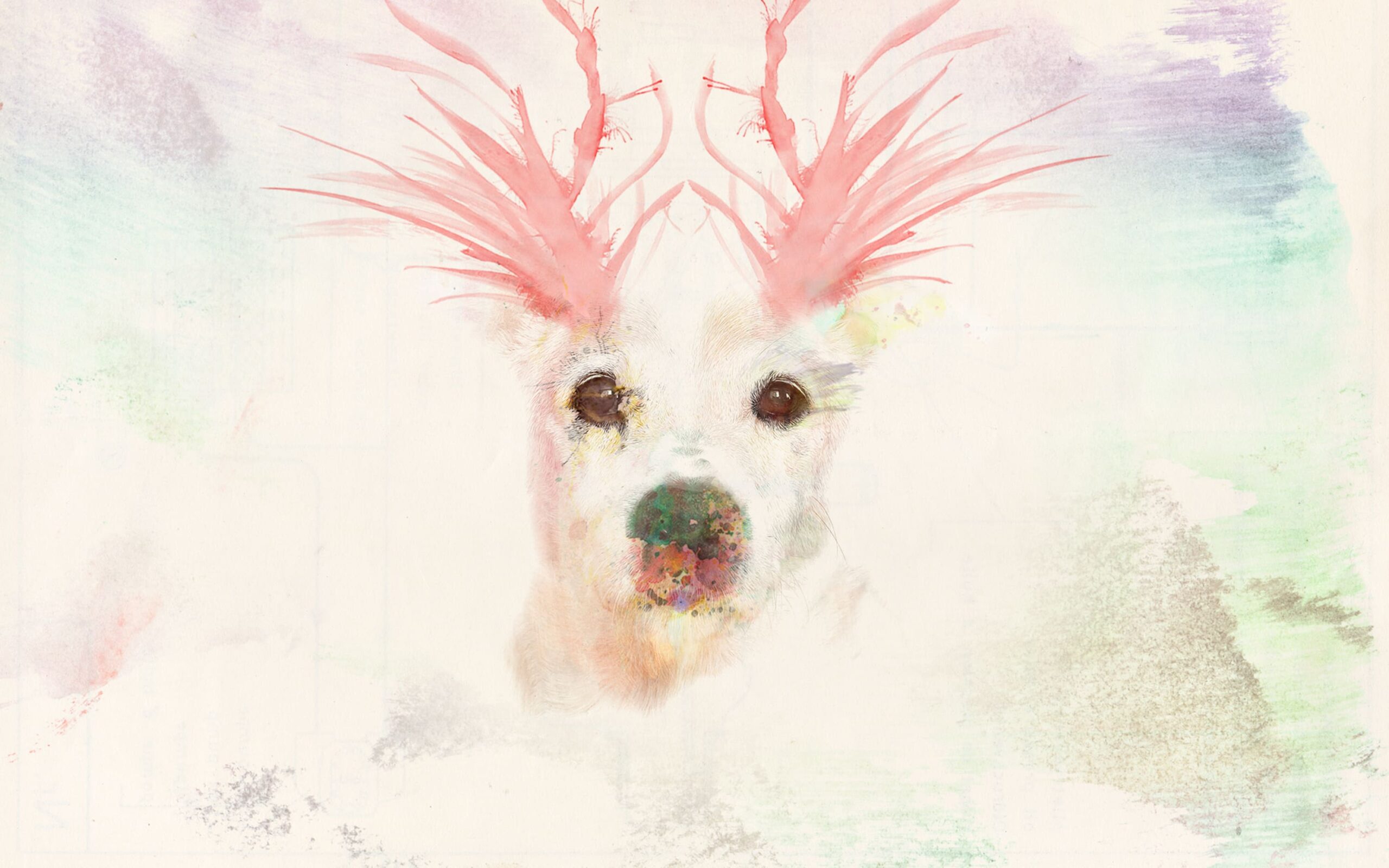 Chien avec un effet aquarelle réalisé sur Photoshop